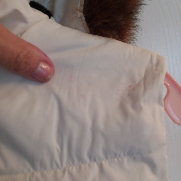 Cream Down Hooded Gap Vest - Picture 6 of 8